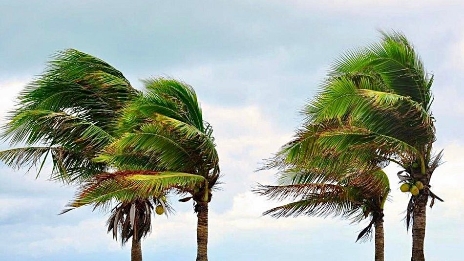 نشرة إنذارية .. أمطار رعدية وهبات رياح قوية مرتقبة اليوم الإثنين