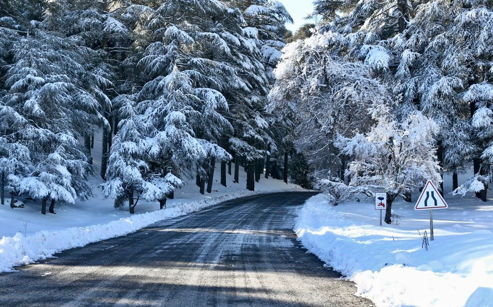 نشرة إنذارية.. رياح قوية وتساقطات ثلجية بعدد من أقاليم المملكة