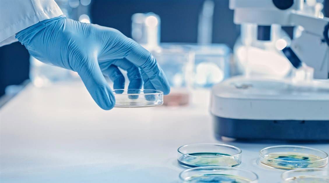 “غوغل” تكشف عن نموذج ذكاء اصطناعي يساعد في اكتشاف الأدوية