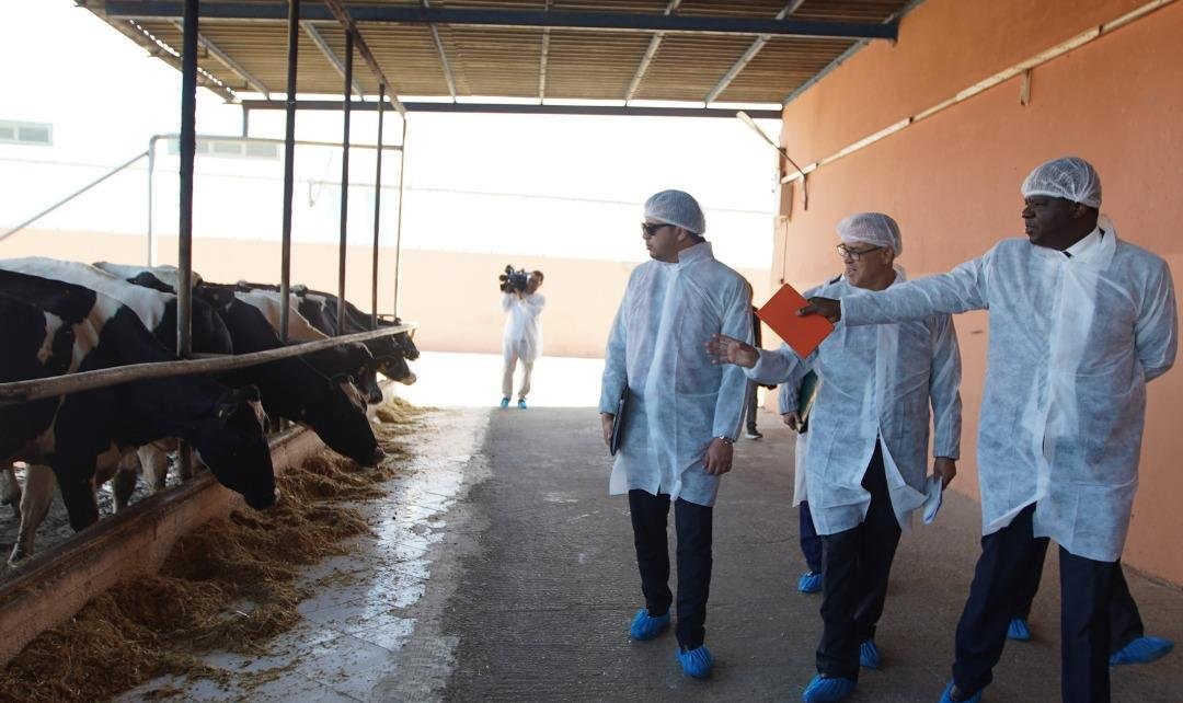 وفد زامبي يزور العيون للاستفادة من التجربة المغربية في القطاع الفلاحي