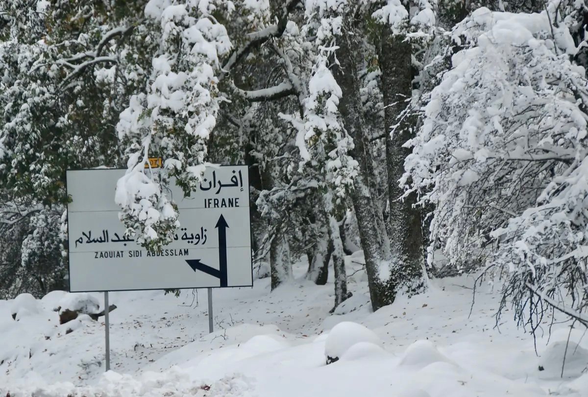 نشرة إنذارية.. تساقطات ثلجية ورياح وزخات مطرية قوية مرتقبة بعدد من مناطق المملكة