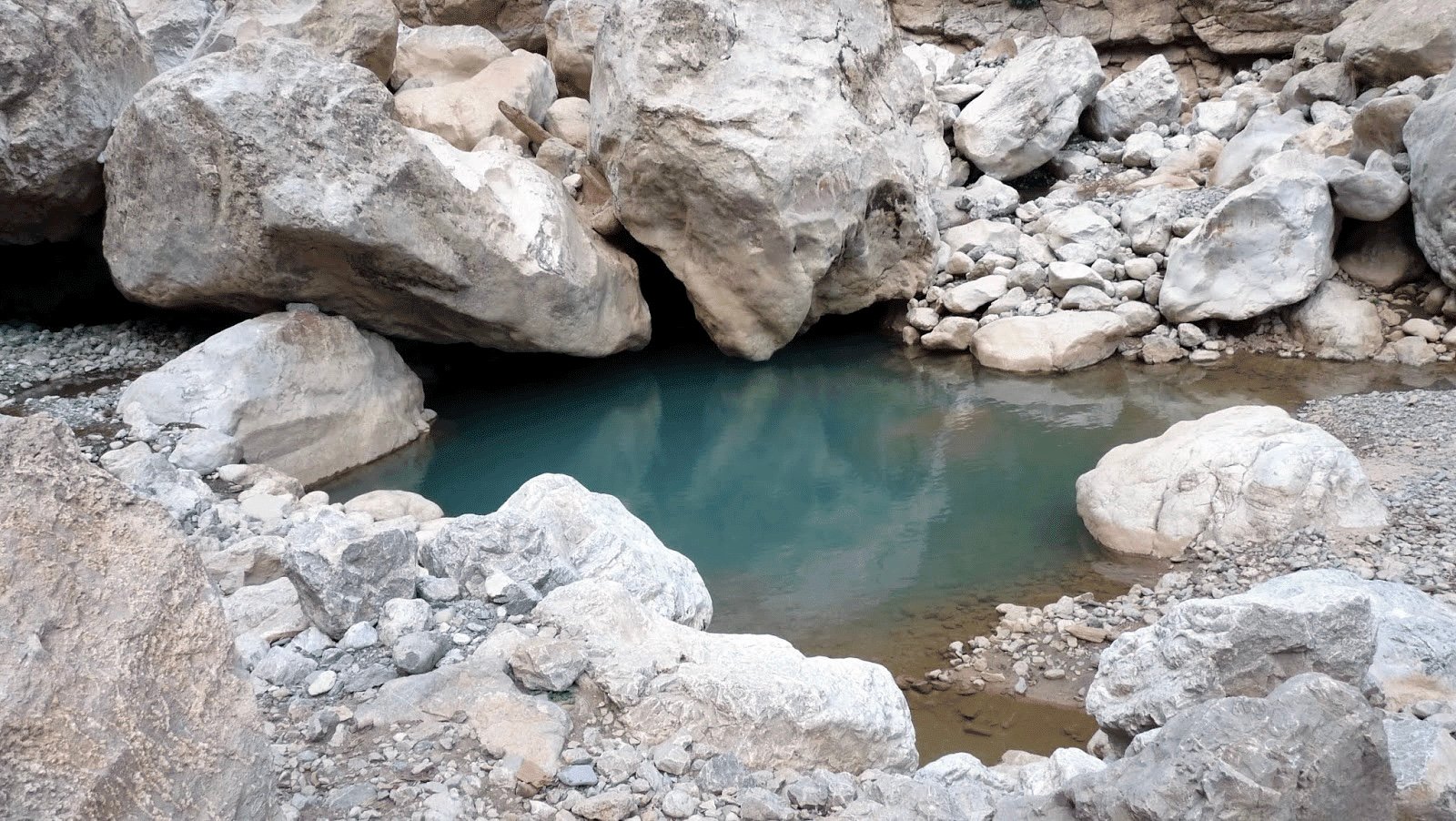 بركة: تم تحديد 69 عينا مائية جديدة تفجّرت بفعل زلزال الحوز