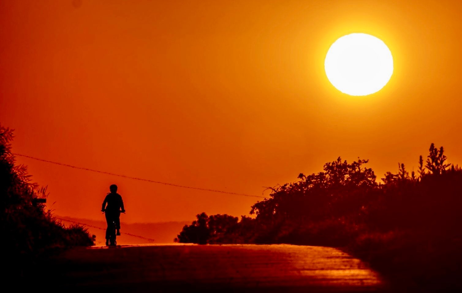 الأرصاد الجوية: عام 2023 حطّم الرقم القياسي لدرجات الحرارة العالمية