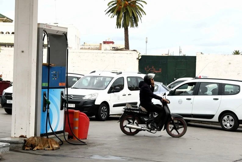 الحكومة تواصل دعم مهنيي قطاع النقل