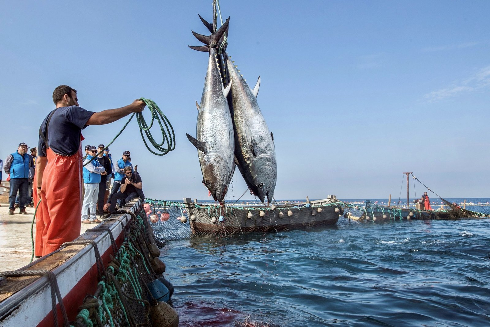 ميناء الناظور.. ارتفاع الكميات المفرغة من منتجات الصيد البحري بنسبة 3 بالمائة
