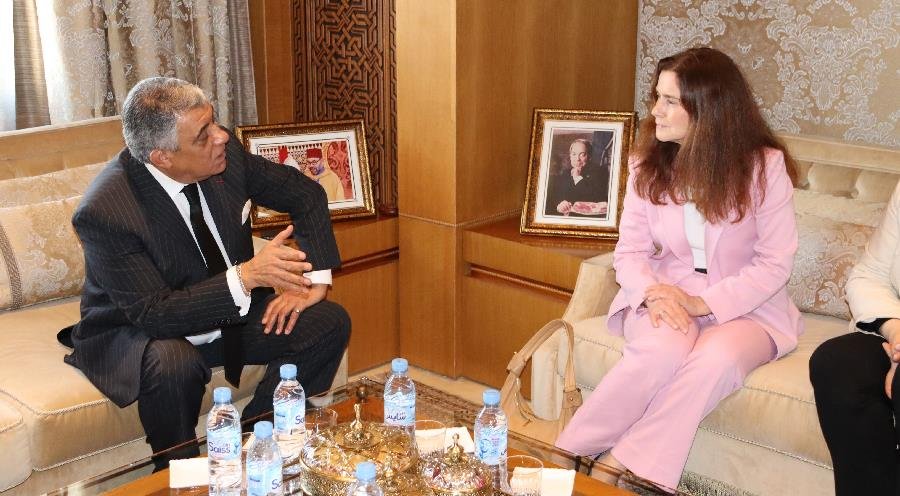 رئيس المحكمة الدستورية يجري مباحثات مع رئيسة المجلس الأعلى للعدالة البلجيكي