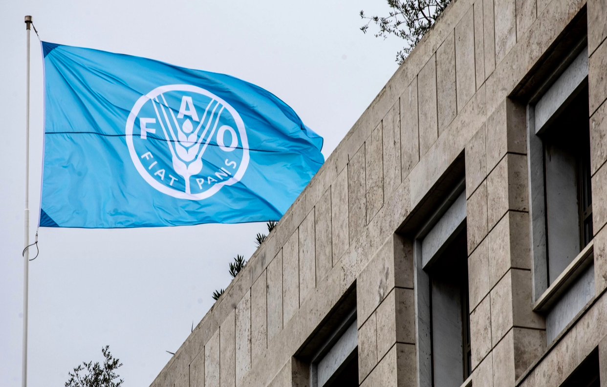 إصلاح الغابات.. “الفاو” تكافئ مبادرة متوسطية يشارك فيها المغرب