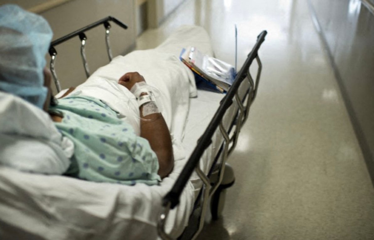 للمرة الأولى.. جراحون أمريكيون يزرعون كلية خنزير لمريض حي