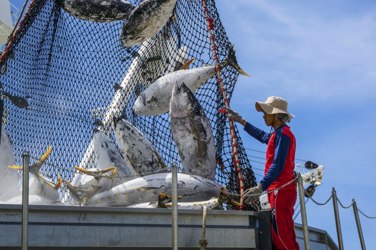 مجموعة التنمية لإفريقيا الجنوبية تدعو إلى اتخاذ إجراءات عاجلة لمكافحة الصيد غير القانوني