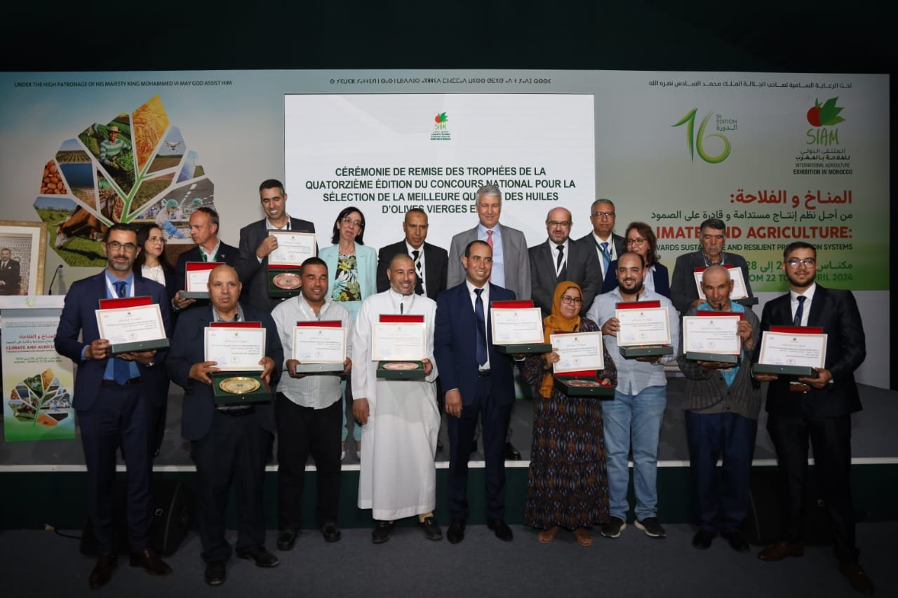 تتويج 12 زيت زيتون من أربع جهات برسم النسخة 14 للمباراة الوطنية