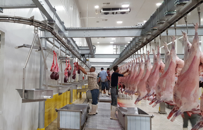 تخصيص 30 مليون درهم لتأهيل وإصلاح المجازر بعدد من الجماعات