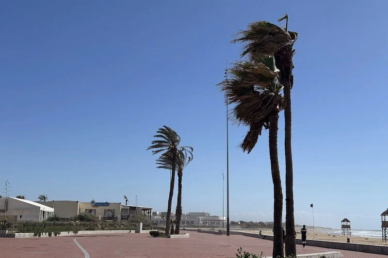 نشرة إنذارية .. موجة حر مرتقبة بعدد من مناطق المملكة