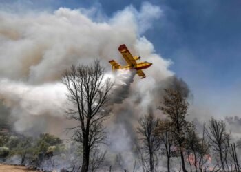 تازة .. حريق بغابة بورد بدائرة أكنول يأتي على حوالي 30 هكتار