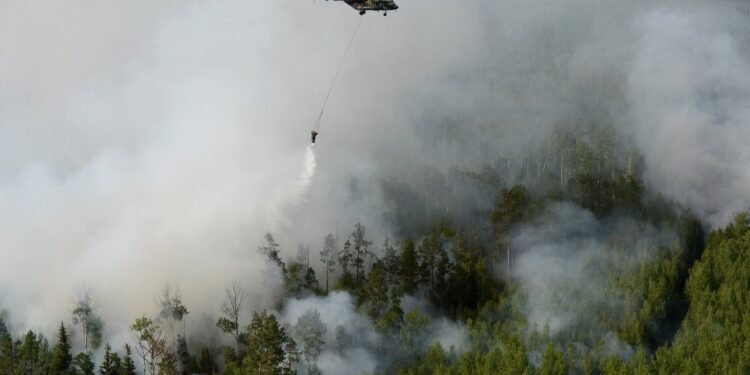 حرائق الغابات تلتهم مساحة فوق مليون هكتار في سيبيريا