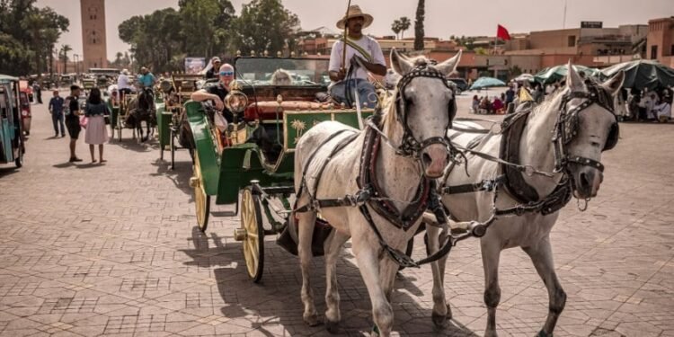 ارتفاع طفيف لعائدات المغرب من السياحة