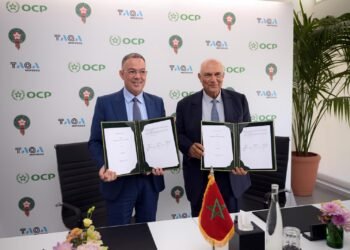 إحداث صندوق لتمويل قطاع التكوين في مجال كرة القدم