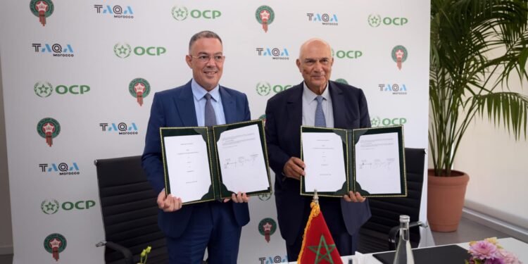 إحداث صندوق لتمويل قطاع التكوين في مجال كرة القدم