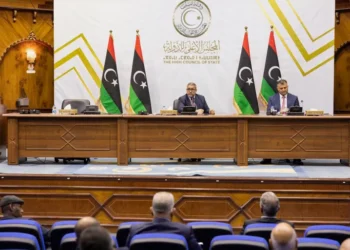 مجلس الدولة الليبي ينتخب رئيسا جديدا