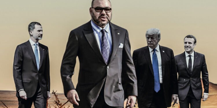 جريدة أصوات نيوز الورقية العدد 107