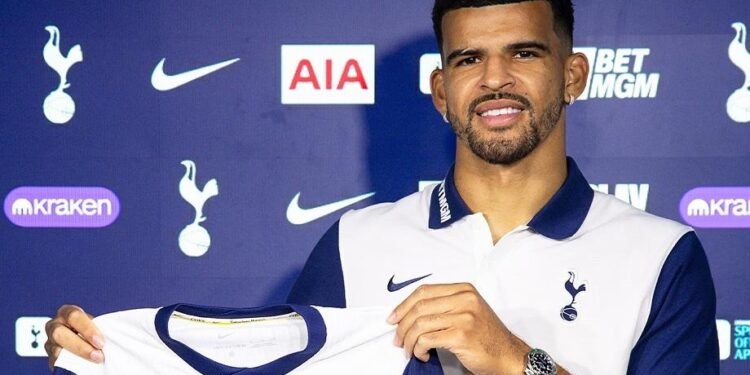 توتنهام يُعزّز هجومه بدومينيك سولانكي