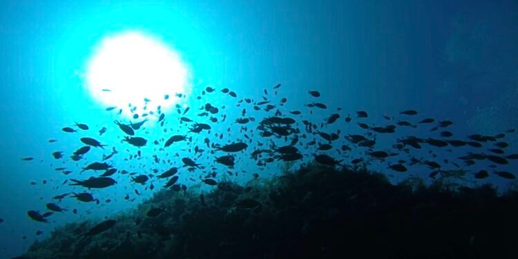 البحر الأبيض المتوسط يعاود تسجيل درجات حرارة قياسية