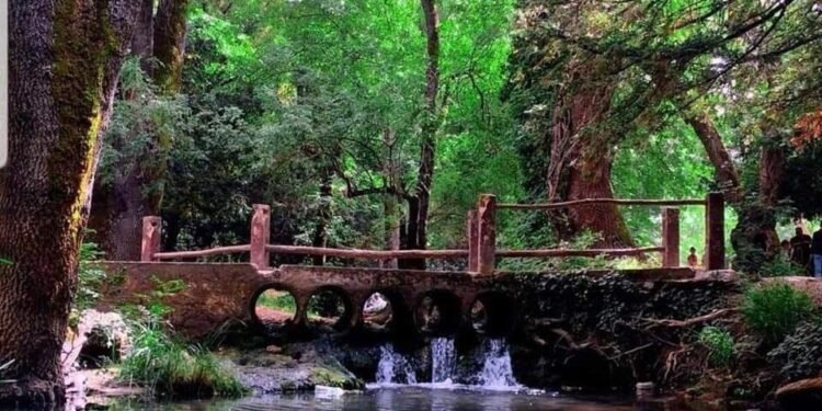 إفران .. منتزه عين فيتال يفتح أبوابه للزوار في حلته الجديدة