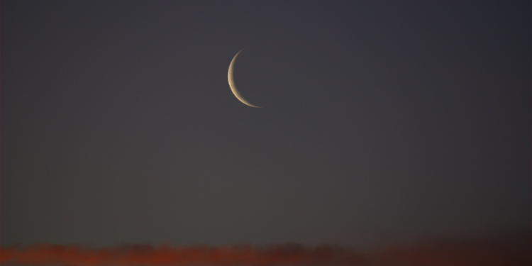 وزارة الأوقاف تعلن عن موعد عيد المولد النبوي دين ودنيا