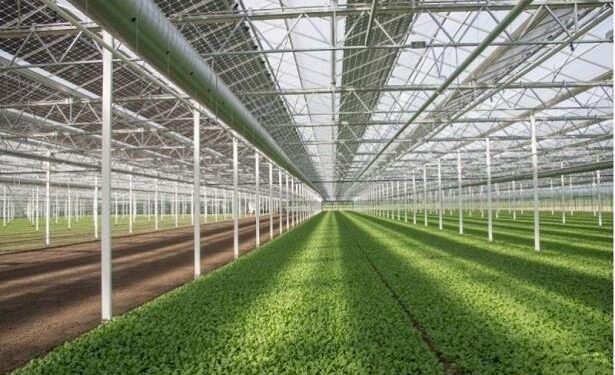 قطر تعتمد استراتيجية وطنية للأمن الغذائي 2030