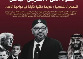 جريدة أصوات نيوز الورقية العدد 113