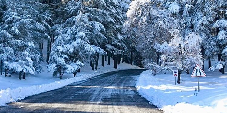 نشرة إنذارية .. تساقطات ثلجية مرتقبة بعدد من مناطق المملكة