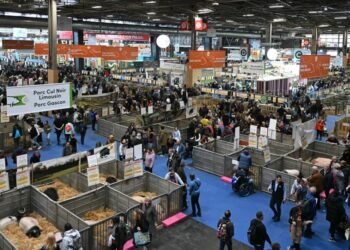 نجاح باهر للمشاركة المغربية في المعرض الدولي للفلاحة بباريس