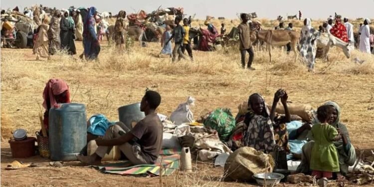 مجلس الأمن يدعو إلى وقف دائم لإطلاق النار وعملية سياسية شاملة في السودان