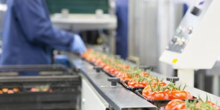 صادرات الخضر والفواكه المغربية نحو إسبانيا ترتفع إلى 150 مليون أورو