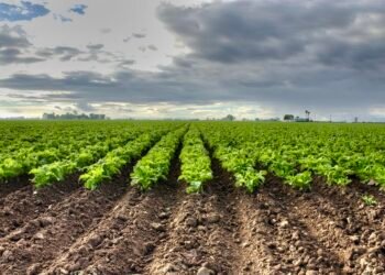 توقعات أحوال الطقس اليوم الثلاثاء بالمملكة