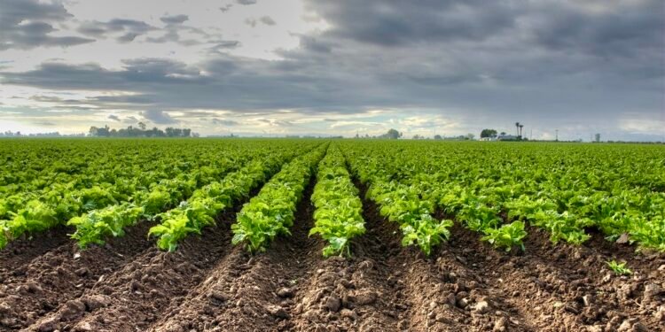 توقعات أحوال الطقس اليوم الثلاثاء بالمملكة