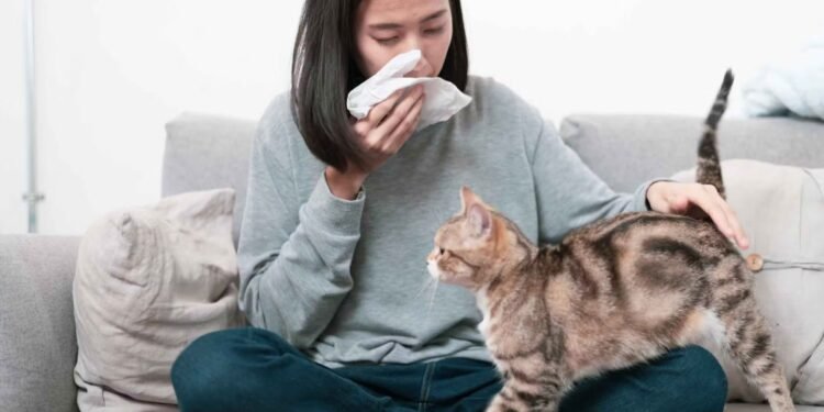 خبيرة طبية: أعراض حساسية الحيوانات قد تصل إلى مرحلة الخطر