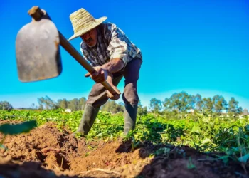 الأمطار تُنعش الوديان والسدود وتُحيي آمال موسم فلاحي واعد في المغرب