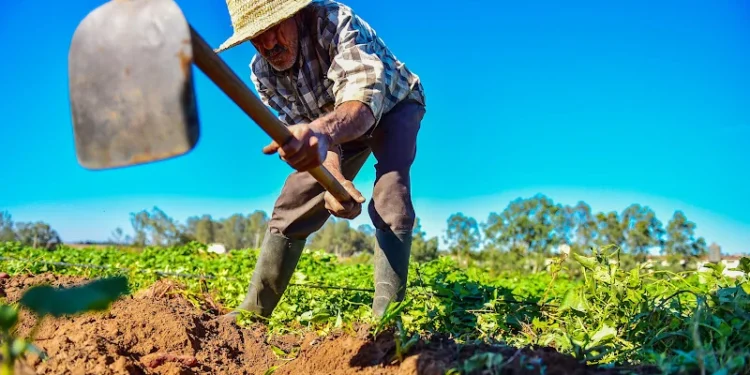 الأمطار تُنعش الوديان والسدود وتُحيي آمال موسم فلاحي واعد في المغرب