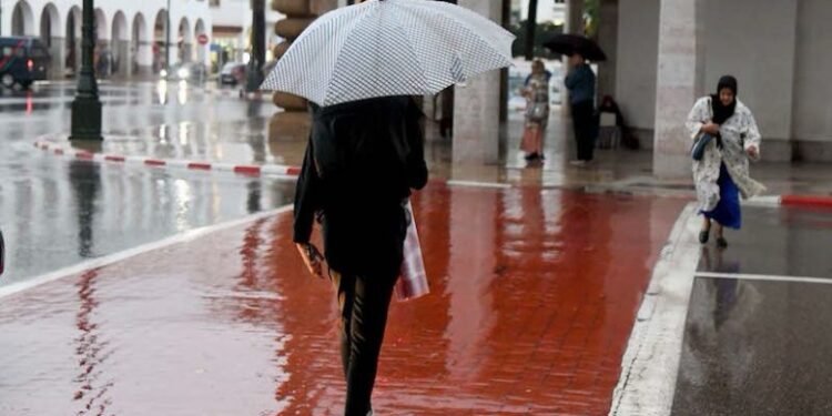 مقاييس الأمطار المسجلة بالمملكة