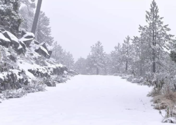 مقاييس التساقطات الثلجية المسجلة بالمملكة من الأحد إلى الإثنين