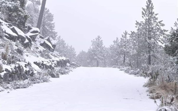 مقاييس التساقطات الثلجية المسجلة بالمملكة من الأحد إلى الإثنين