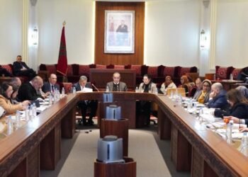 مشروع قانون الدفع بعدم الدستورية يمر بلجنة العدل بأغلبية الأصوات