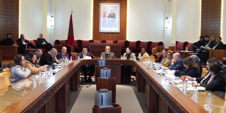 مشروع قانون الدفع بعدم الدستورية يمر بلجنة العدل بأغلبية الأصوات